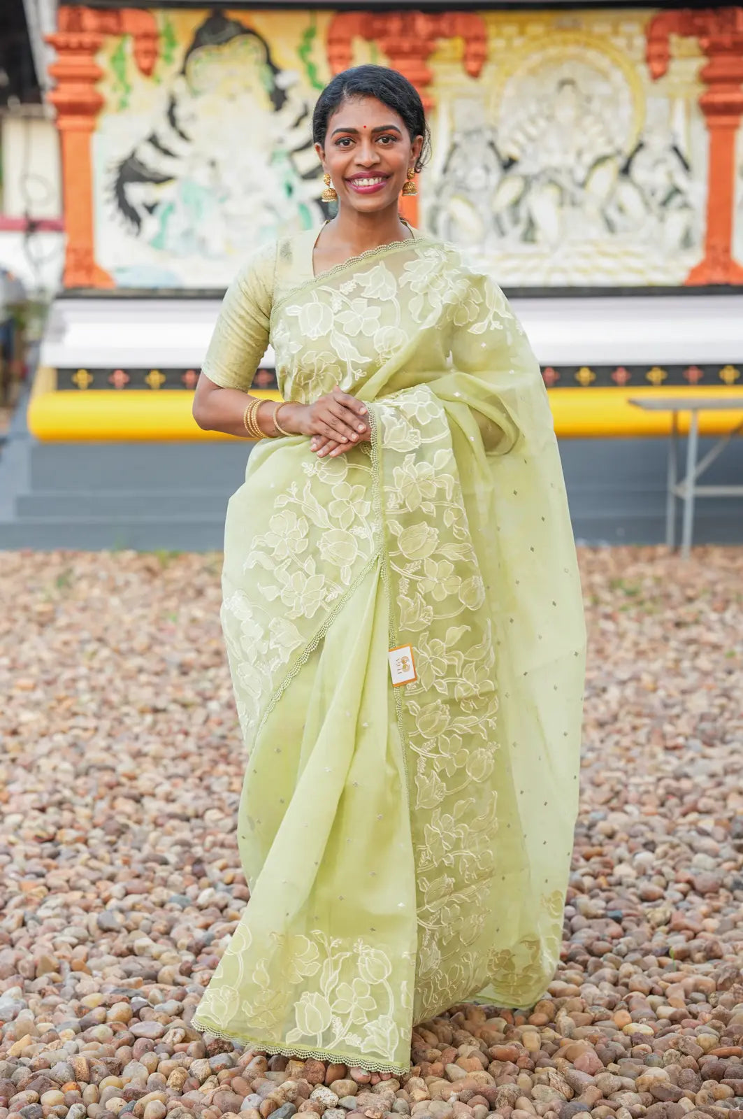 Pastel Green Embroidered Fancy Saree with Self Blouse