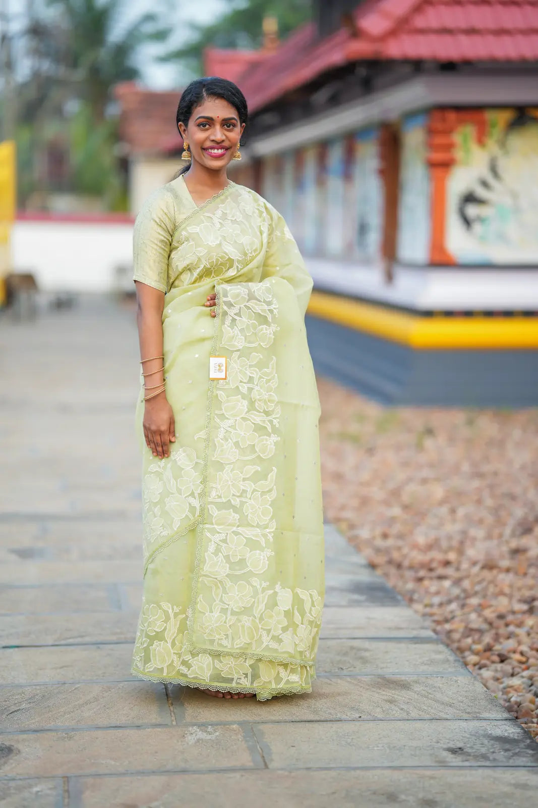 Pastel Green Embroidered Fancy Saree with Self Blouse