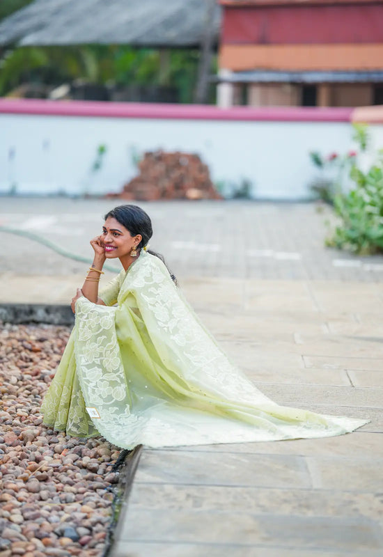 Pastel Green Embroidered Fancy Saree with Self Blouse