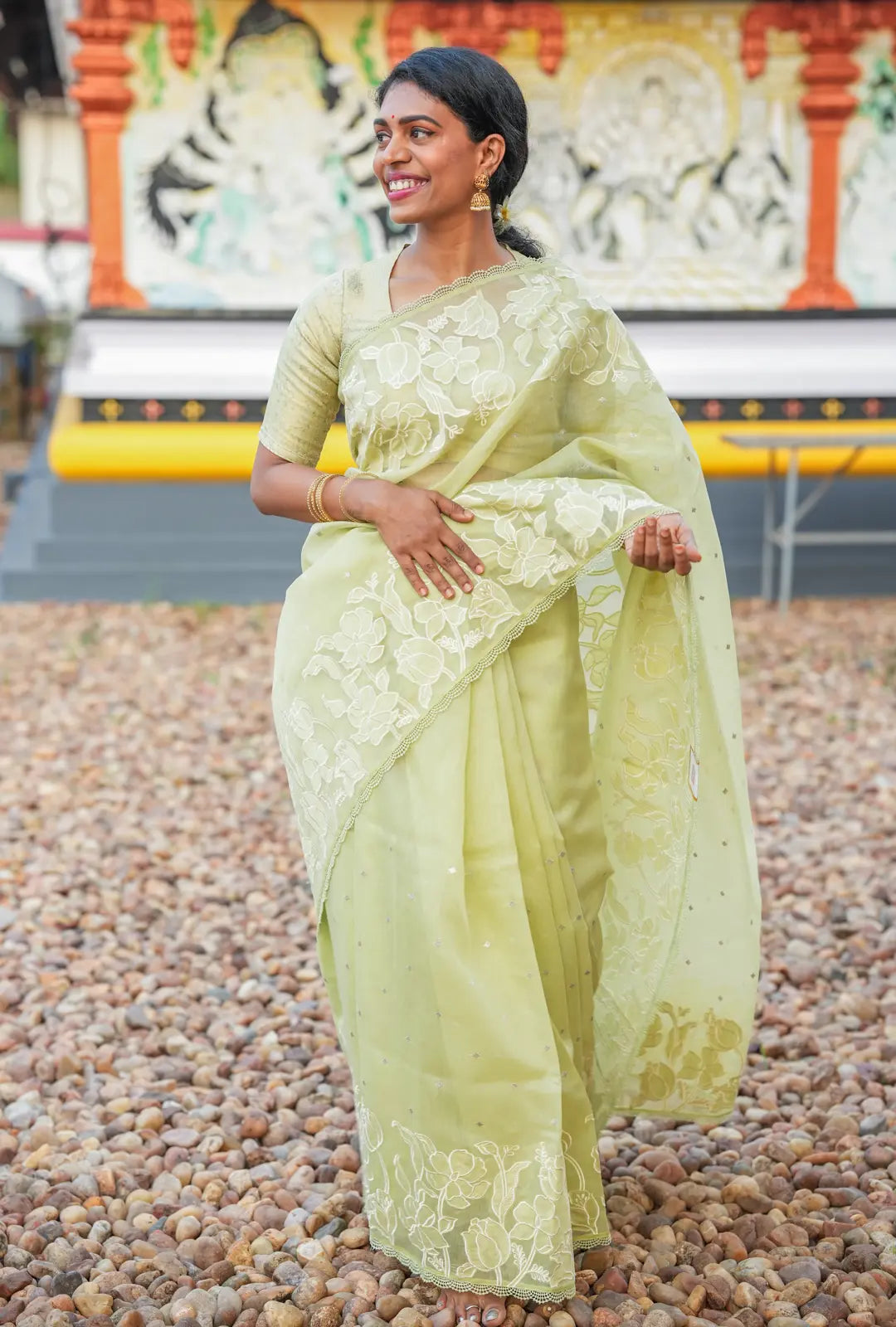 Pastel Green Embroidered Fancy Saree with Self Blouse