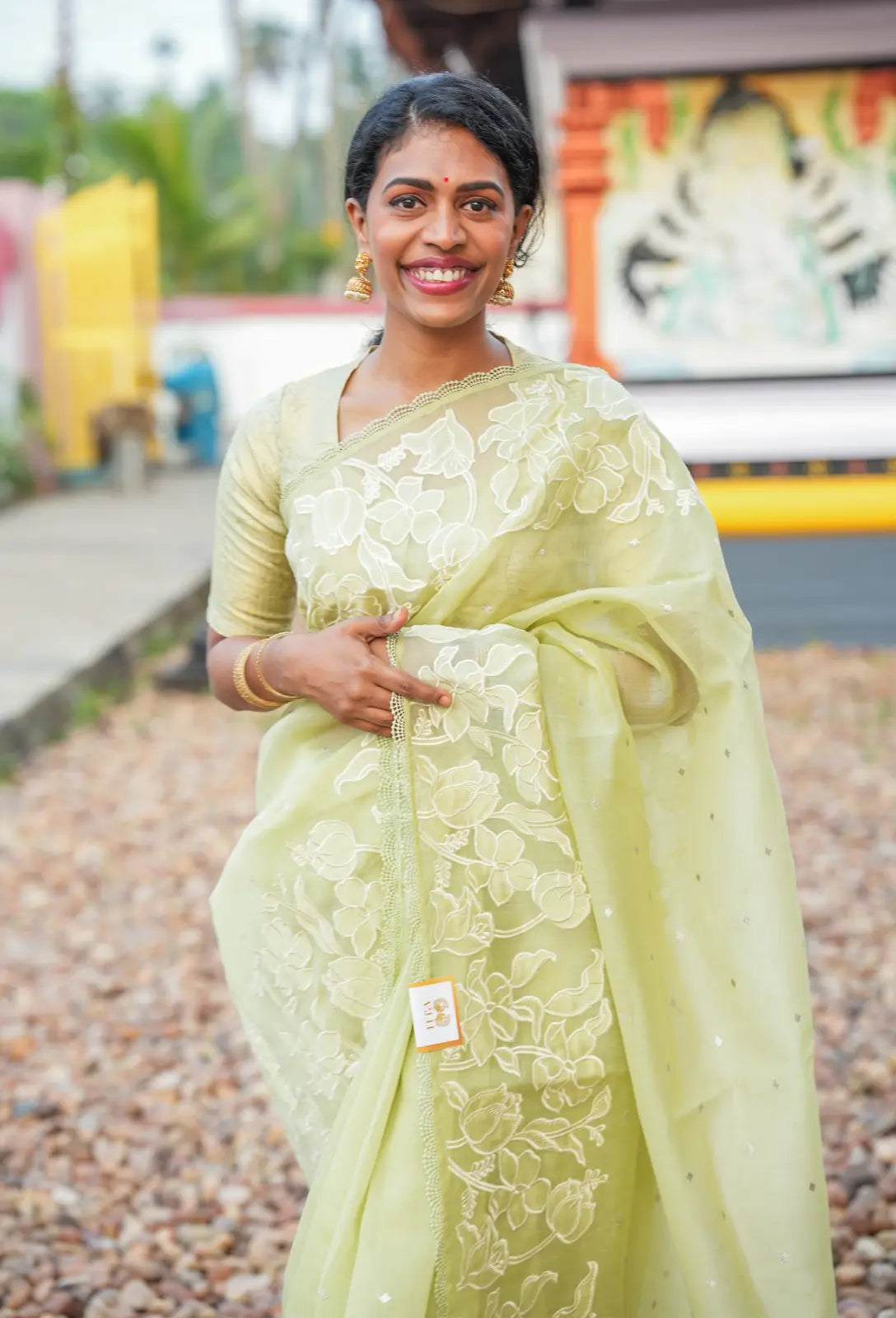 Pastel Green Embroidered Fancy Saree with Self Blouse
