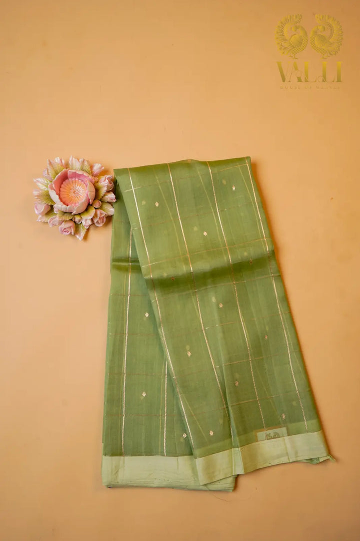 Pista Green Kora Organza Saree with Contrast Purple Checked Blouse