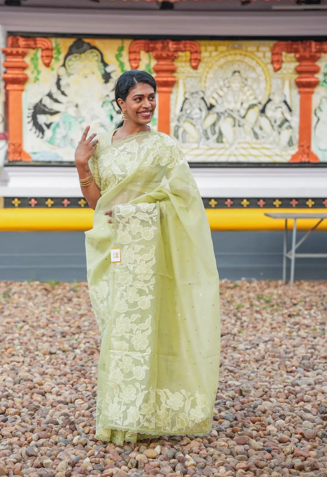 Pastel Green Embroidered Fancy Saree with Self Blouse