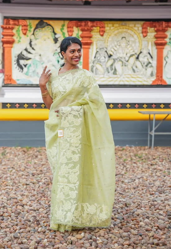Pastel Green Embroidered Fancy Saree with Self Blouse